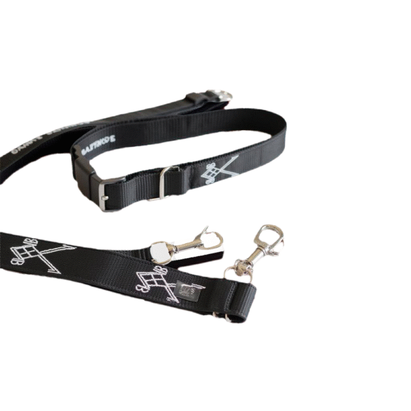 Collier & Laisse